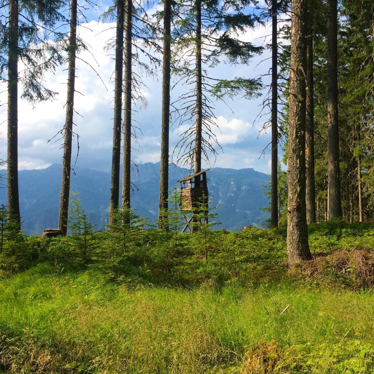 Berggasthof Scharfetter Hotel Haus im Ennstal Buitenkant foto